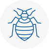 Bed Bug Extermination In Taverham