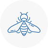 Bee Nest Removal Taverham