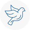 Bird Prevention Taverham