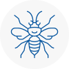 Taverham Hornet Nest Removals