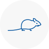 Mice Exterminators In Taverham