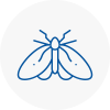 Moth Control Specialists In Taverham
