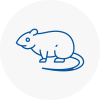 Rat Control Taverham
