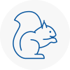 Taverham Rodent Removals